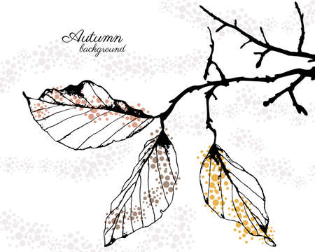 Autumn vector background with leavesのイラスト素材