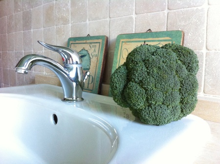 Food in the bathroomの素材