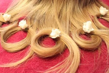 Hair circleの素材