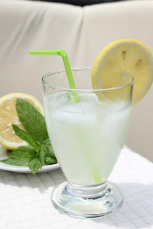 Citrus Spritzの写真素材