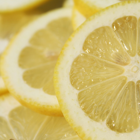 Lemon slicesの写真素材
