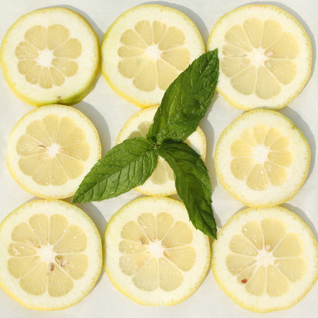 Lemon slices and mint leavesの写真素材