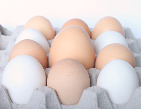 The big egg