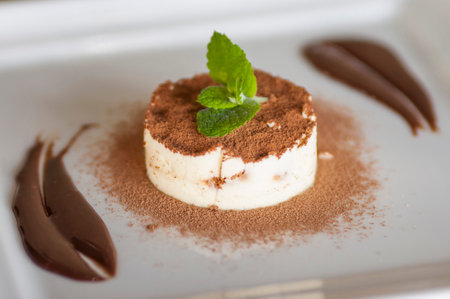 tiramisu with chocolate and mint on a white plate.の写真素材