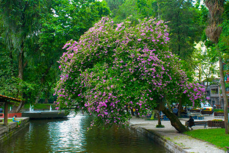 View from Public Promenade, Curitiba, Parana, Brazil