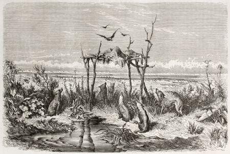 Australian burial in the desert. Created by Dore after the Rambles at the Antipodes, published on Le Tour du Monde, Paris, 1860のeditorial素材