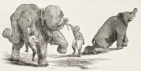 Elephants dance training. By unidentified author, published on Le Tour du Monde, Paris, 1860のeditorial素材