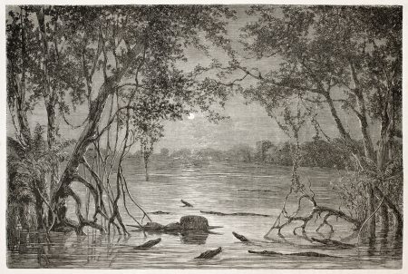 Moonlight on Juteca Lake, Brazil. Created by Riou, published on Le Tour du Monde, Paris, 1867のeditorial素材