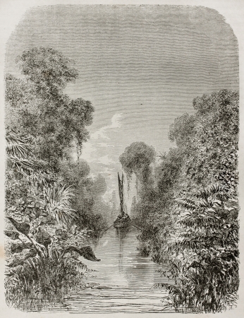 Igarape-Miri channel vegetation old view, Brazil. Created by Riou, published on Le Tour du Monde, Paris, 1867のeditorial素材