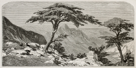 Tirourda hill old view, Kabylia, Algeria. Created by Duhousset, published on Le Tour Du Monde, Paris, 1867のeditorial素材