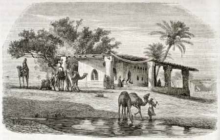 Syrian scenery old illustration. Created by Erere and Montigneul after Marilhat, published on Magasin Pittoresque, Paris, 1844のeditorial素材