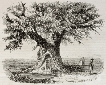 Old illustration of the Chene de Montavail (Oak of Montravail) in the Forest of Fointanbleau, France. Created by Mely, published on Magasin Pittoresque, Paris, 1850のeditorial素材
