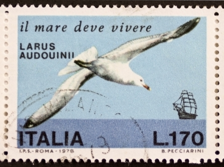 ITALY  CIRCA 1978: a stamp printed in Italy shows image of  Audouin's Gull (Ichthyaetus audouinii), Mediterranean and West Saharian coast species. Italy, circa 1978のeditorial素材
