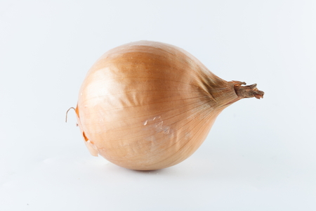 Onion on white backgroundの写真素材