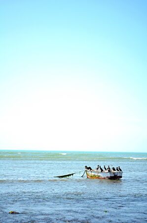 boat sea ocean horizonの写真素材