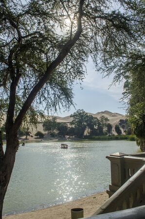 oasis in the peruvian desertの写真素材