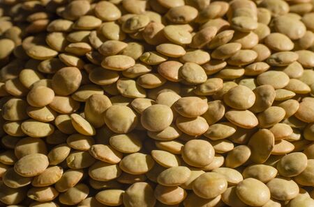 group of dried lentils legumesの写真素材