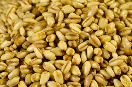many dried wheat grainsの写真素材