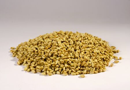 many dried wheat grainsの写真素材