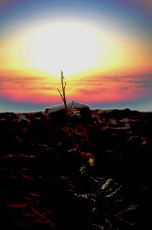 sunset in the sky with cloudsの写真素材