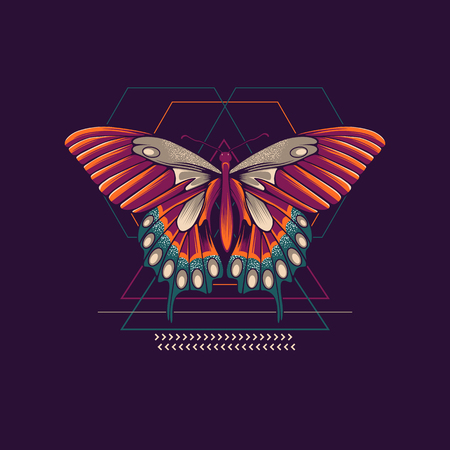Abstract butterflyのイラスト素材
