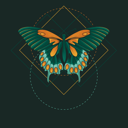 Abstract butterflyのイラスト素材