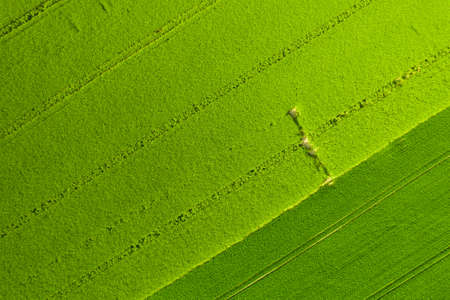 field from the sky