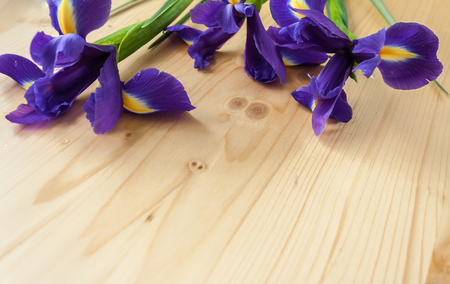 three bright irises on wooden backgroundの写真素材