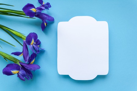 vintage frame and irises on blue backgroundの写真素材