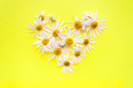 heart of daisies on a yellow background. love conceptの写真素材