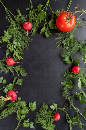 frame with parsley and dill, radish and tomato on black backgroundの写真素材