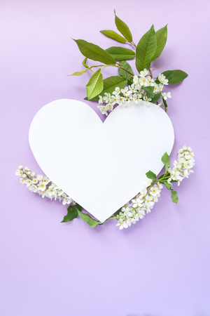 Heart frame with blossom bird cherry on violet background. Copy spaseの写真素材