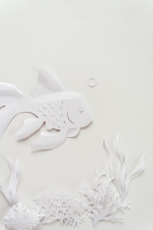 Fish close up cut from white paper on white background. The ocean and the undersea world with different inhabitants, corals and starfishの写真素材