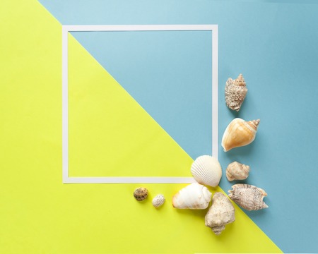 square frame, composition of exotic sea shells on a blue and yellow background. top viewの写真素材