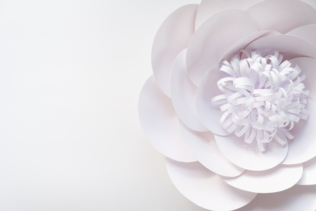 Delicate white rose close up blurred abstract background. Cut from paper. Place for your text.の写真素材