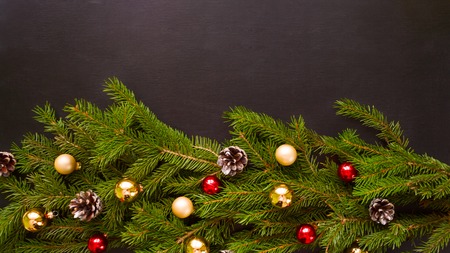 Holiday's Background with Season Wishes and Border of Realistic Looking Christmas Tree Branches.の写真素材