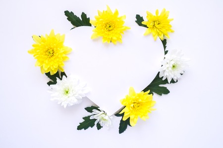 Heart frame. Fresh bunch of white and yellow chrysanthemums on a white background. Trendy color. Bloom love concept. Card, text place, copy space.の写真素材