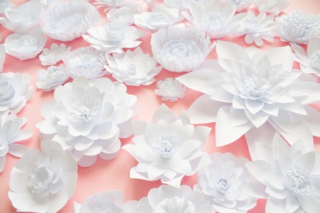 White paper flowers on pink background. Floral background cut from paperの写真素材