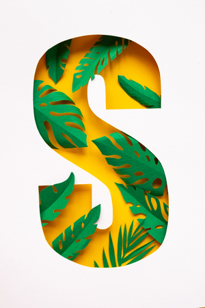 letter s cut from paper with tropical palm leaves from paper on white background. Form, counterformの写真素材