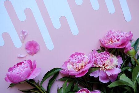 Frame with beautiful peony on pink background. Floral card, trendy cornerの写真素材