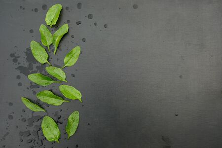 Above view of fresh spinach leaves on a black wooden background