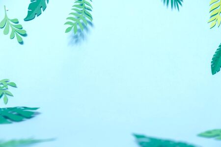 tropical leaves cut from paper on blue background. Summer concept