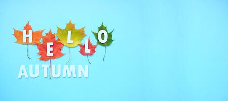 Lettering hello autumn with autumn leaves red, orange, yellow. Blue background. Letters are cut out of paper. long format for webの写真素材