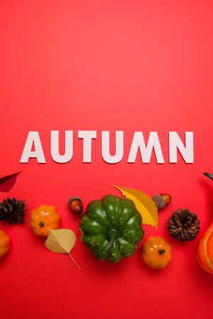 Thanksgiving day. Lettering autumn with autumn elements on red background. Thanksgiving concept, greeting card.の写真素材