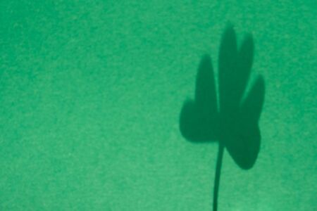 St. Patrick's day, Green Shamrock from paper on green background. Close up. Trend shadowの写真素材