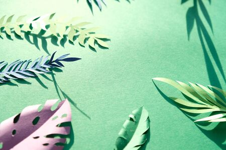 tropical leaves cut from paper on green background. Shadow trend