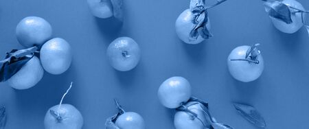 Pattern with orange tangerine with leaves. Concept of healthy food, vitamins. Trend color of the year 2020 classic blue. Tonedの写真素材