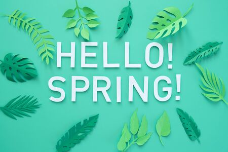 Hello, spring With white and rose paper flowers