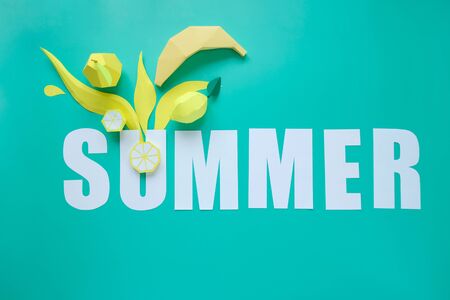 Exotic fruits made of paper with shadow. Trend shadow. Summer concept.の写真素材