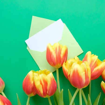 A bouquet of tulips and an envelope with a note on a green background. Concept of international women's day, mother's day, Easterの写真素材